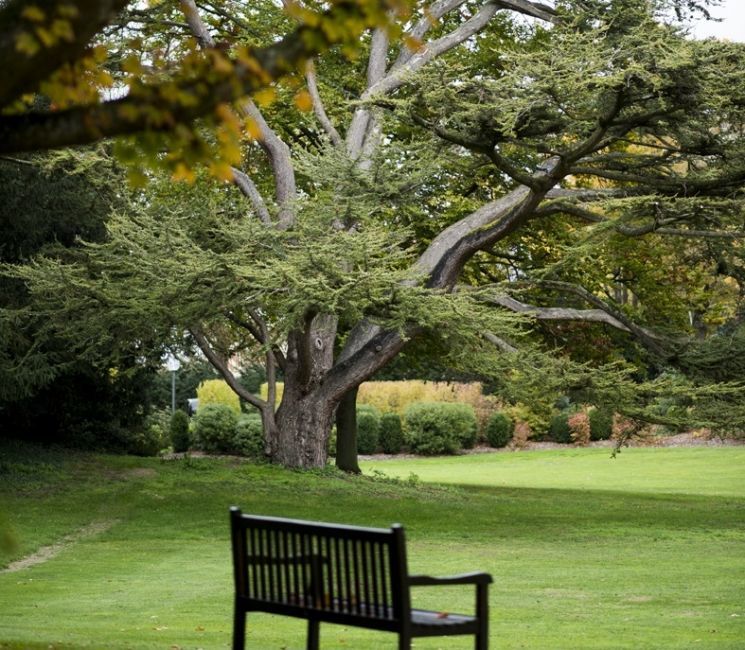 Champagne Les Crayères Reims bench in the park