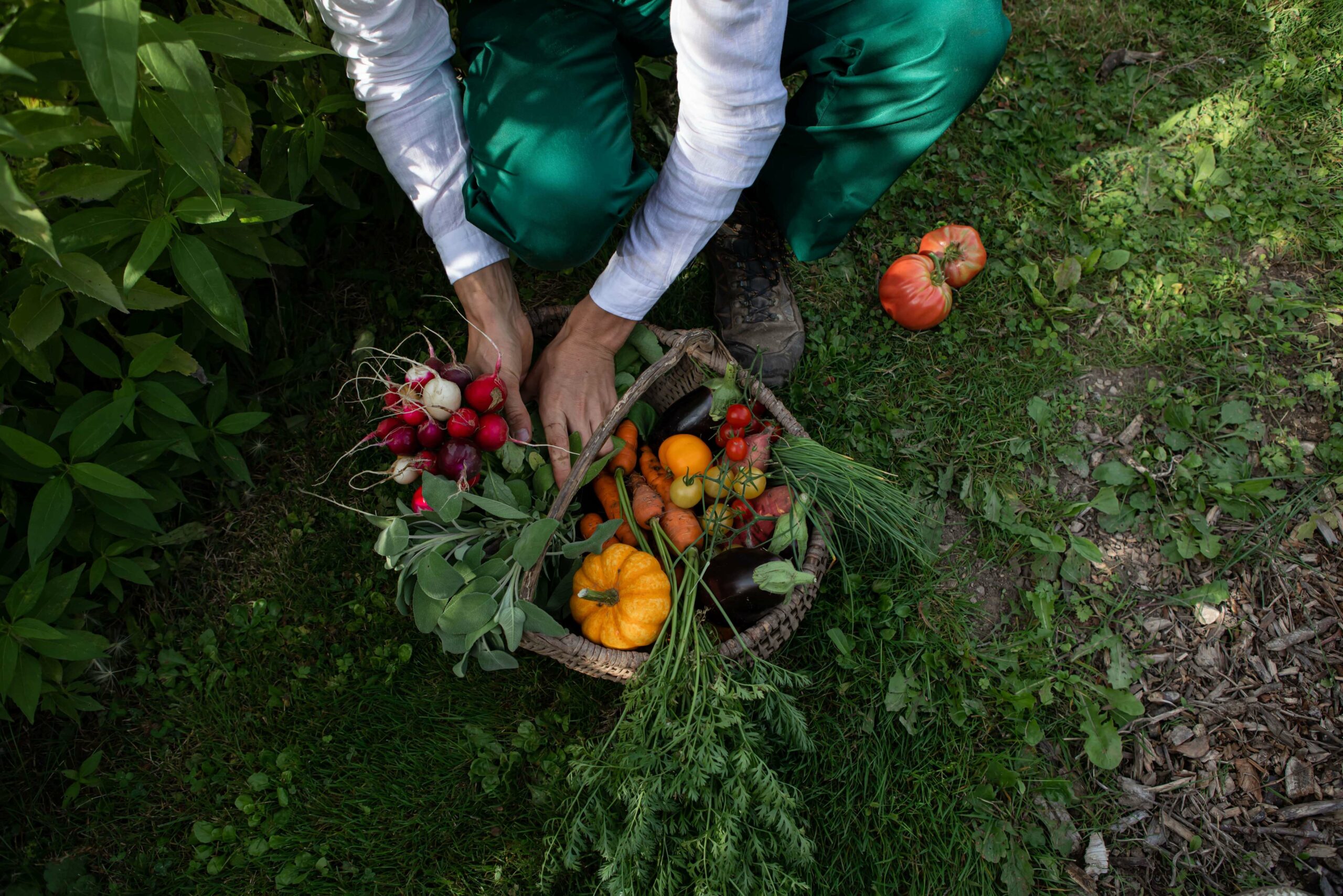 French Flair Burgundy Hostellerie de Levernois vegetable garden