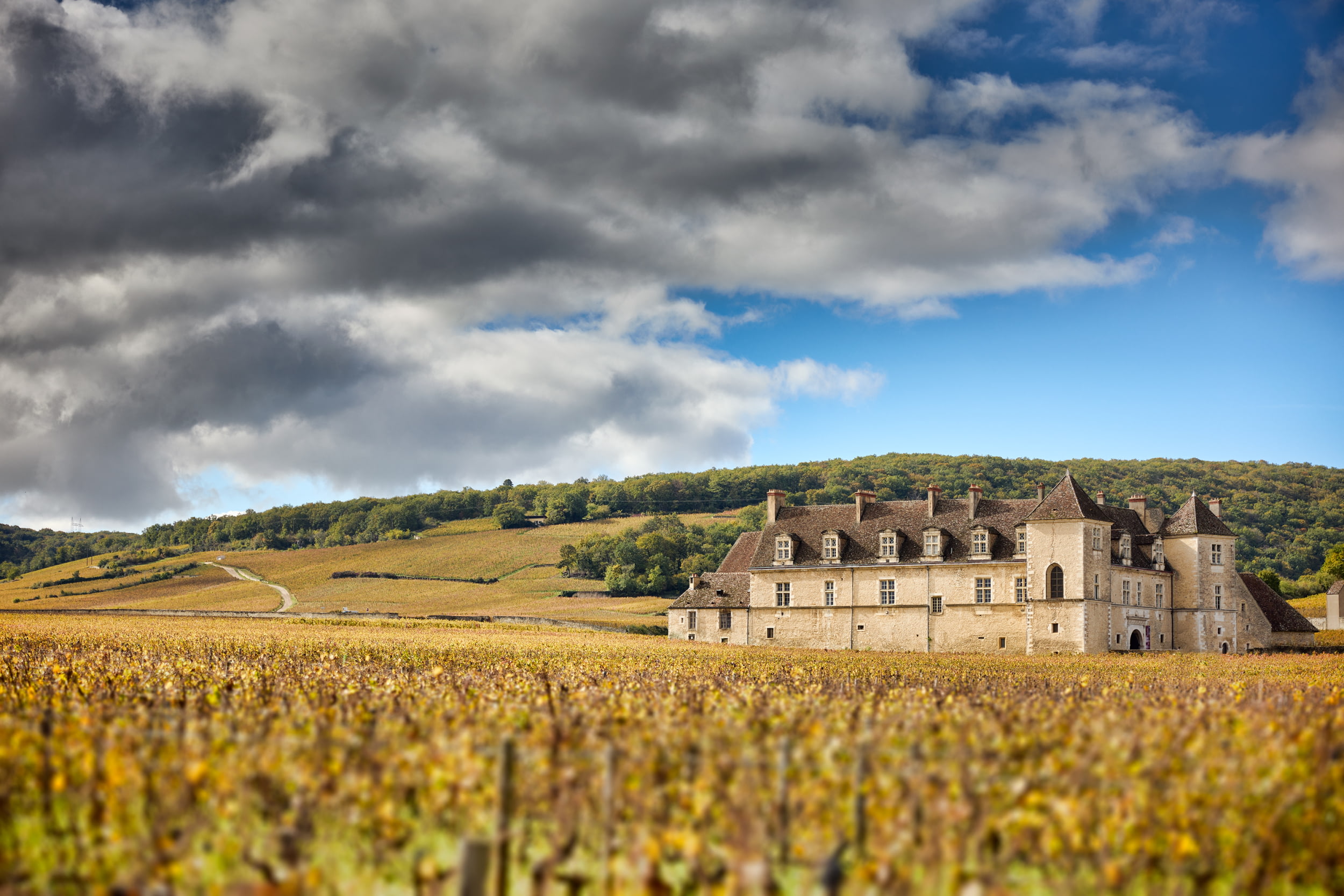 French Flair Burgundy La Folie de Vougeot Castle View