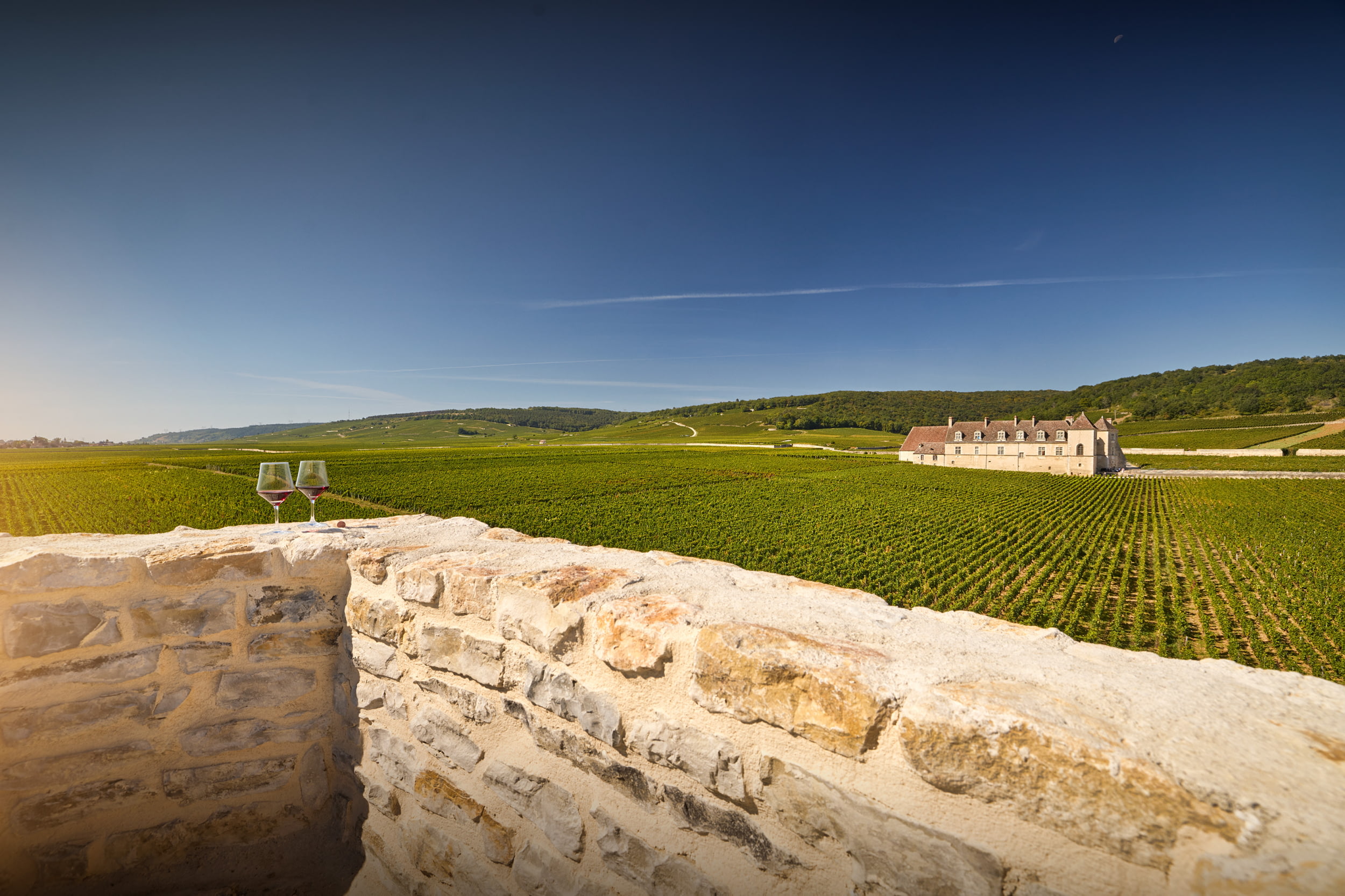French Flair Burgundy La Folie de Vougeot Rooftop
