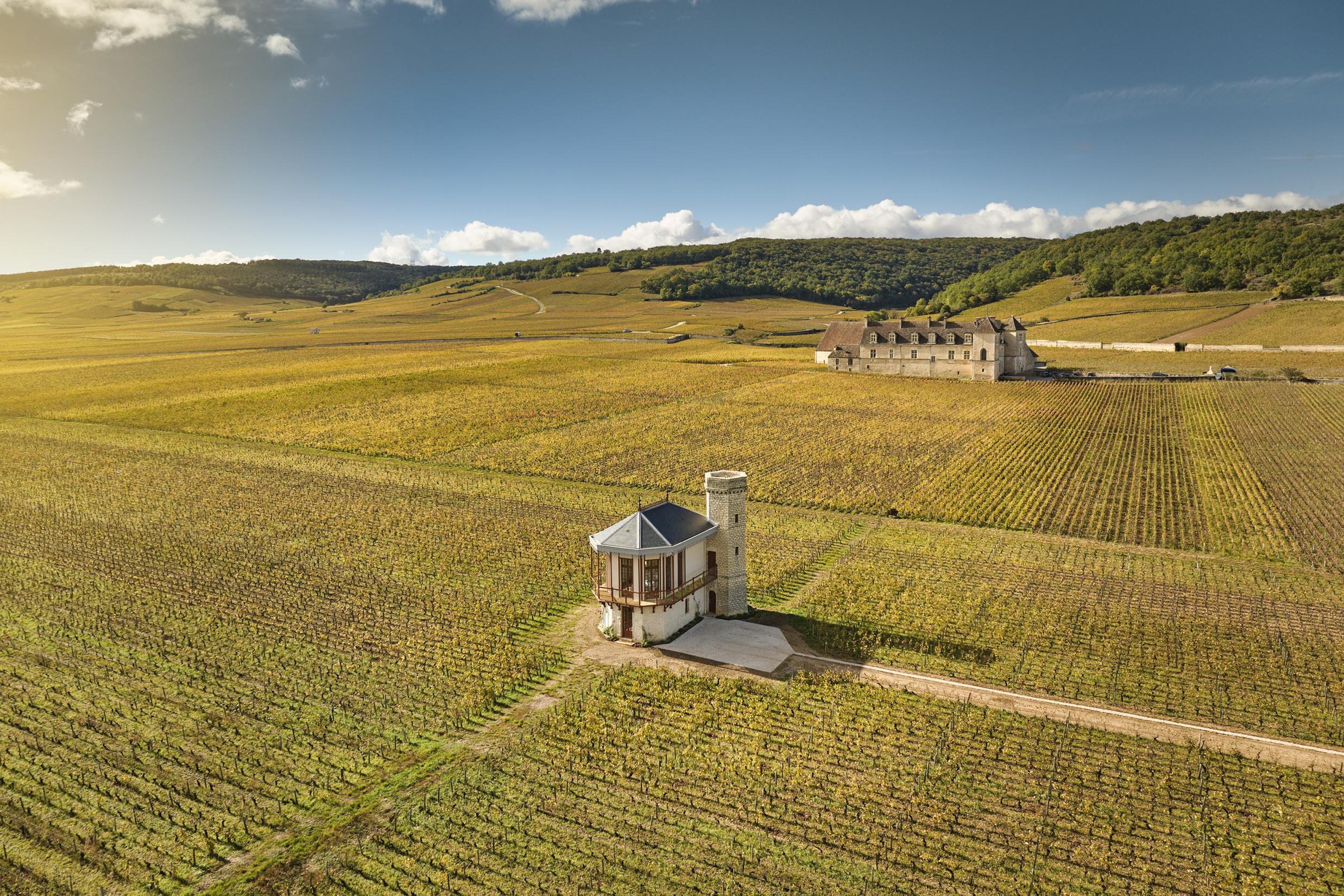 La Folie de Vougeot
