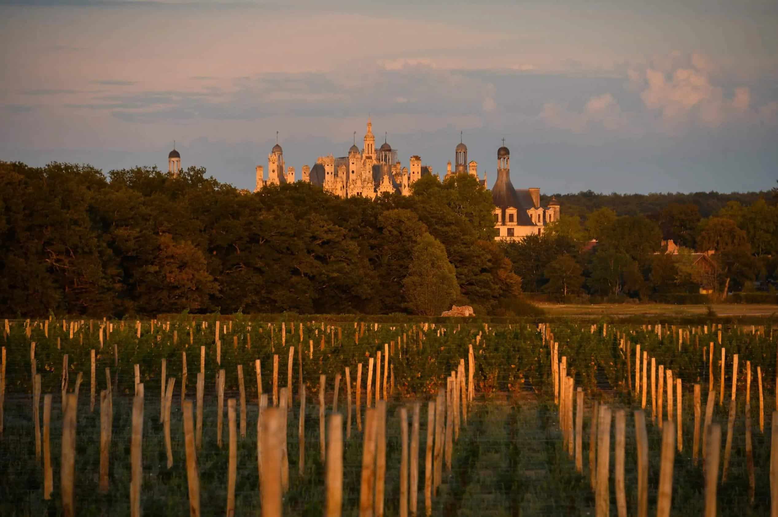 French Flair Loire Valley Relais de Chambord vineyards